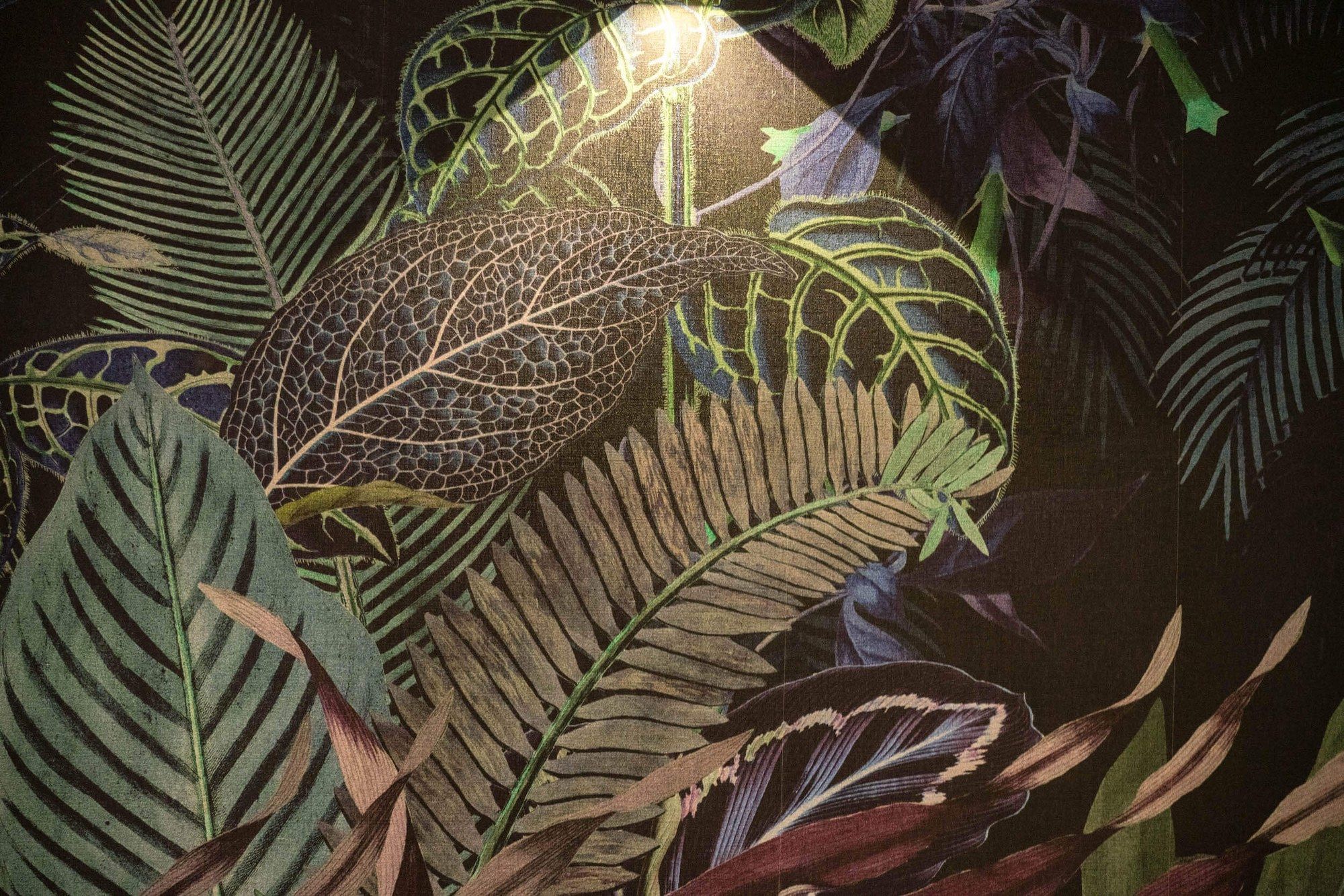 La carta da parati tropicale della zona benessere