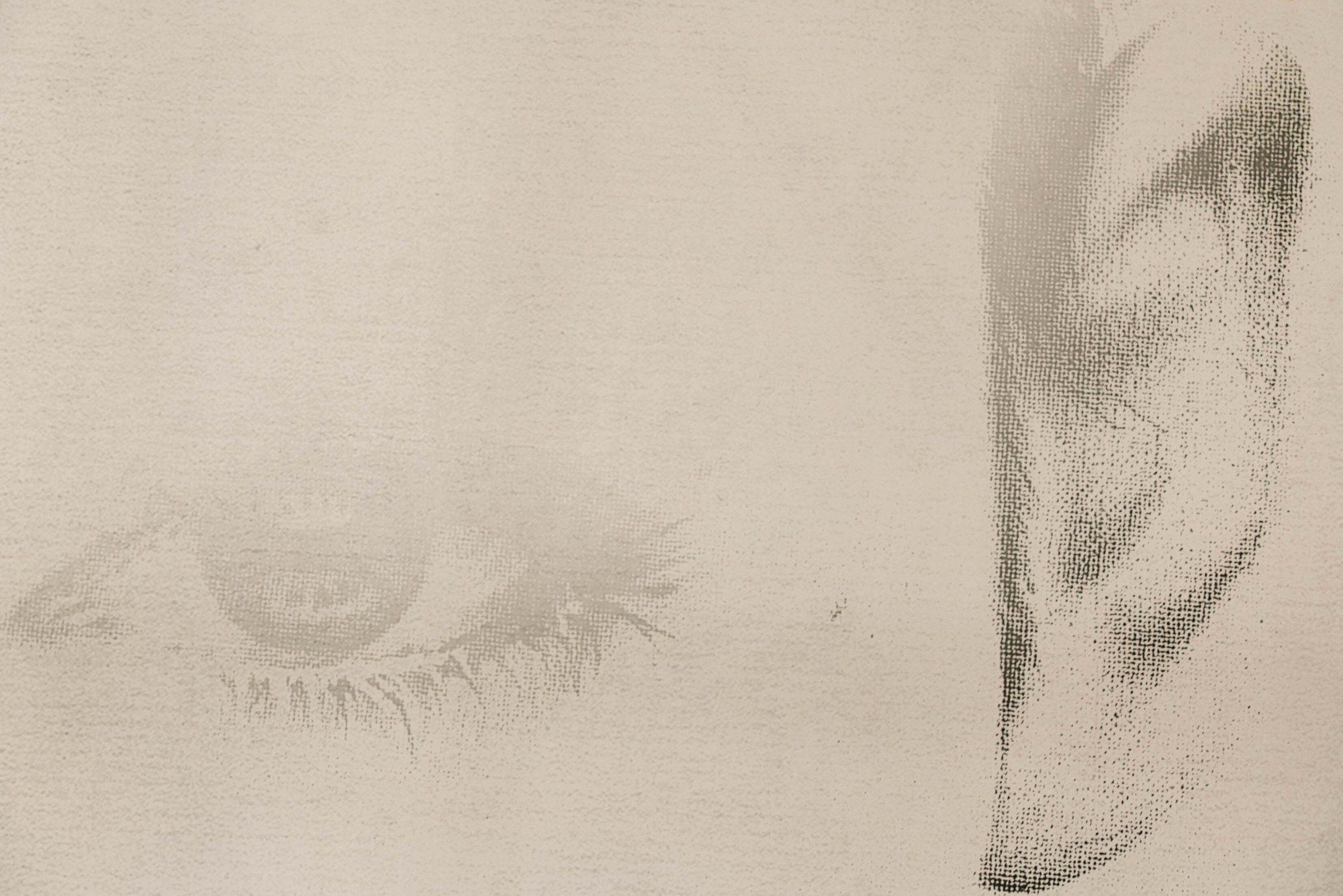 Il disegno del volto di donna che occupa la parete della suite Minosse